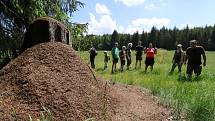 Z pozorování motýlů a dalších živožichů na loukách u Svaté Kateřiny.