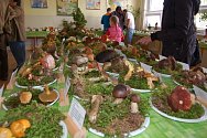 Výstava hub na tachovském gymnáziu
