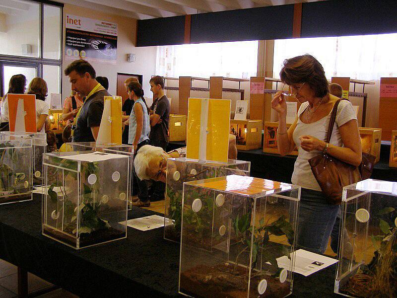 Ve Stříbře se konala konala výstava hmyzu. 