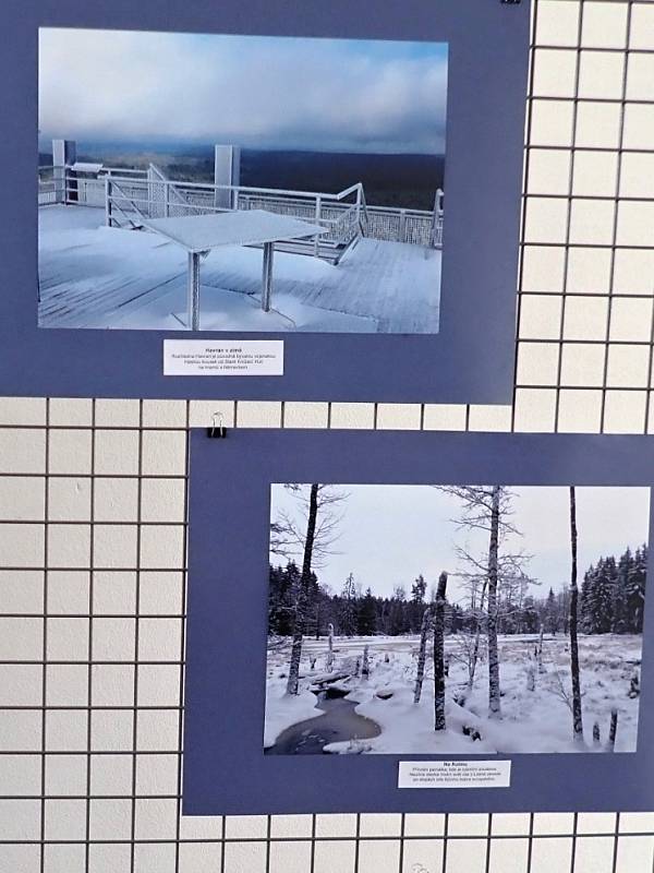 Výstava fotografií Českého lesa v Černošíně.