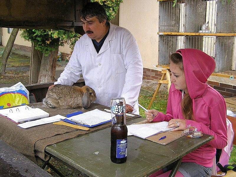 Ve Stříbre uskutečnilo bodování mláďat králíků, holubů a drůbeže. 