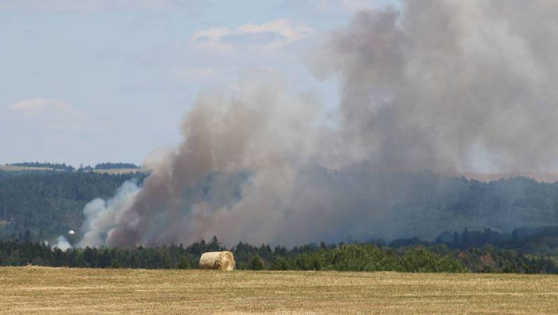 Požár obilného lánu u Chodové Plané.