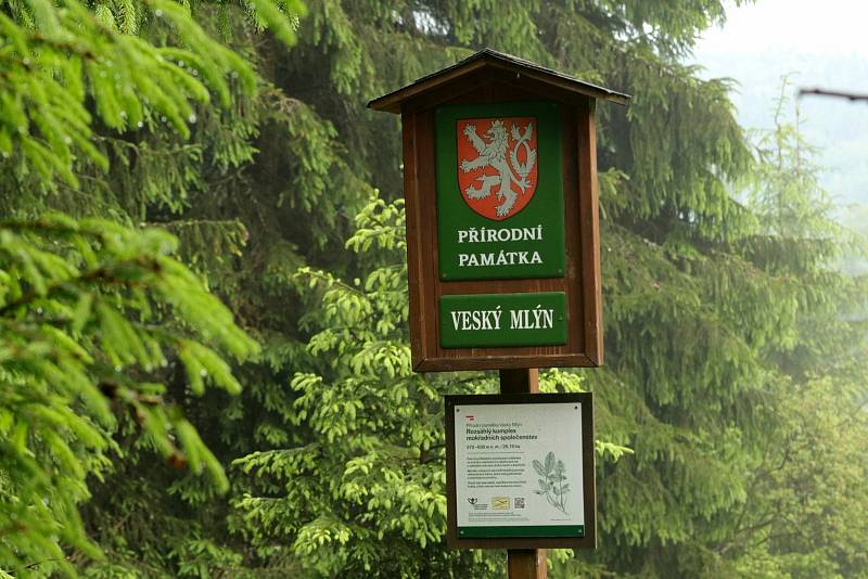 Záběry z Českého lesa