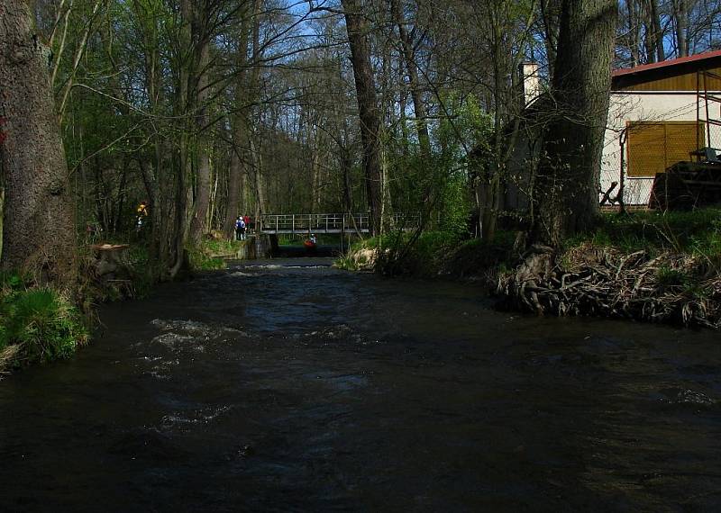 Tachovští vodáci otevřeli sezónu. Odemkli Mži a pasovali nové vodáky.