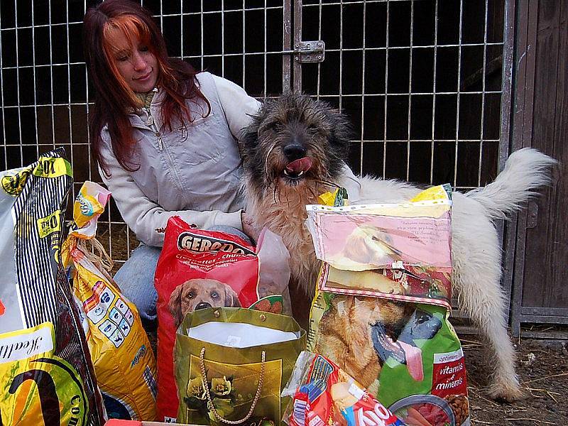 MRAVENIŠTĚ OBDAROVALO ÚTULEK. Radost z nadílky měla nejen Gabriela Jägerová (na snímku se psem Sargonem, který je v útulku už více než dva roky), ale také její čtyřnozí svěřenci. 