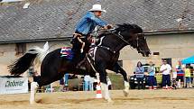 Dovednosti, um, postřeh a souhru s koněm prokazovali v několika disciplínách soutěžící na kříženeckém ranči. 