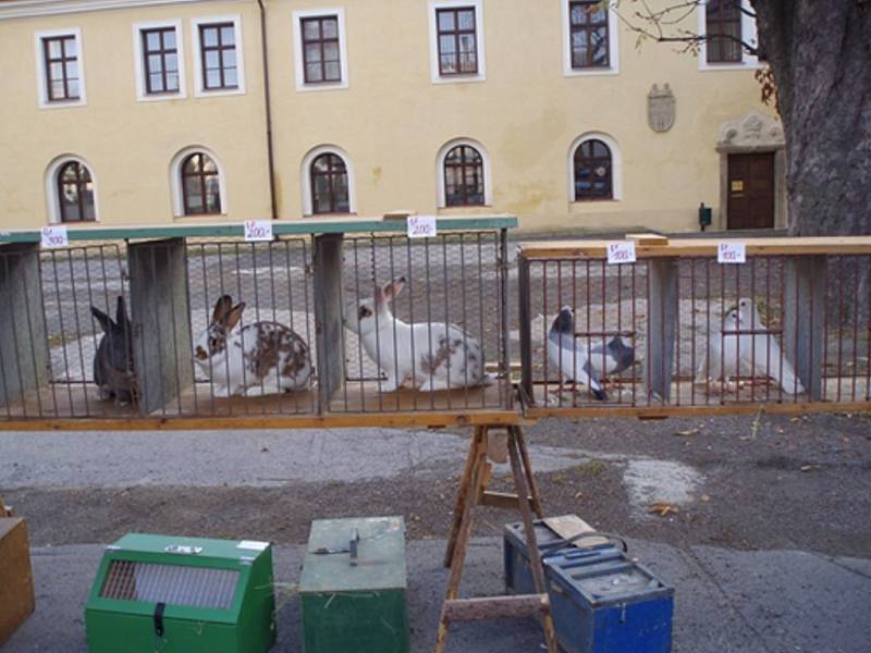 Ve Stříbře se v sobotu uskutečnil předposlední chovatelský trh v letošním roce.