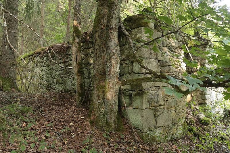 Snímky ze Zlatého Potoka a jeho blízkého okolí. V osadě se konal i Den Českého lesa nebo výprava k Hedvičině pile, v zimě se zde koná přeshraniční běh na lyžích.