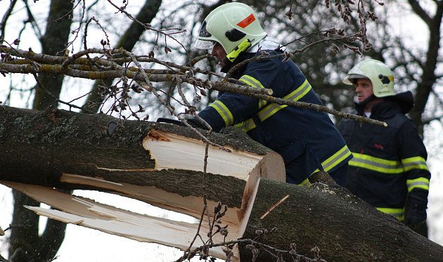 Výstraha před silným větrem: o víkendu platí také pro Vysočinu