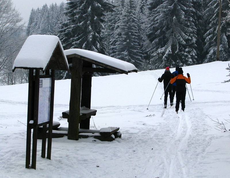 Poslední lednovou neděli se konal další ročník přeshraničního bě­hu.