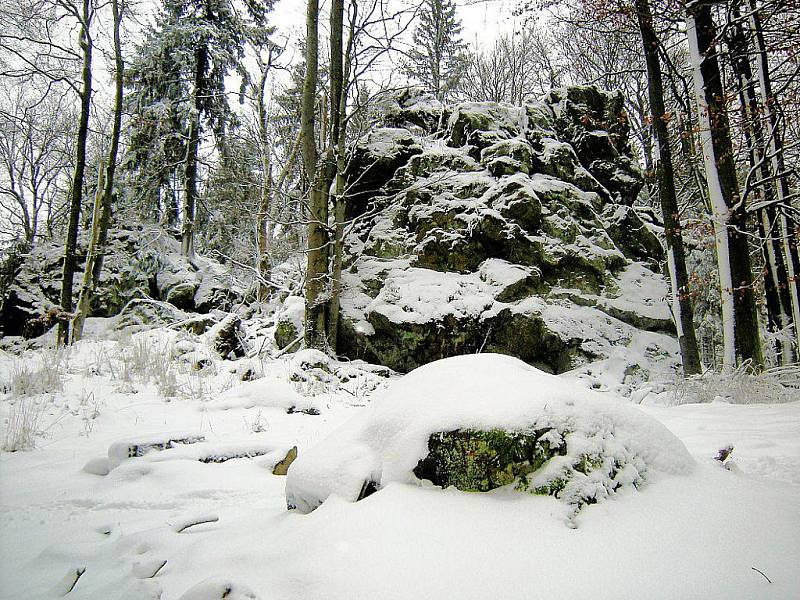 Krajina kolem Žďárů na Českém lese.