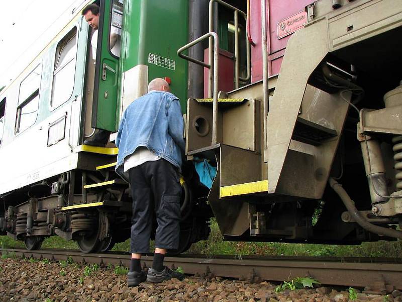 Pád větví na sběrač lokomotivy způsobil zastavení vlaku.