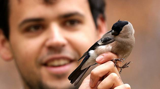 Silvestrovské ornitologické setkání se konalo poslední den roku, a akci s názvem Ptáci v zimě nespí zpestřil ornitolog Martin Liška i vyprávěním netradičních příhod a zajímavostí z ptačí říše.