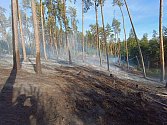Zásah hasičů v lese u Stříbra.