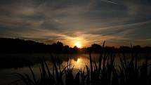 Svítání nad Labutím rybníkem u Plané.