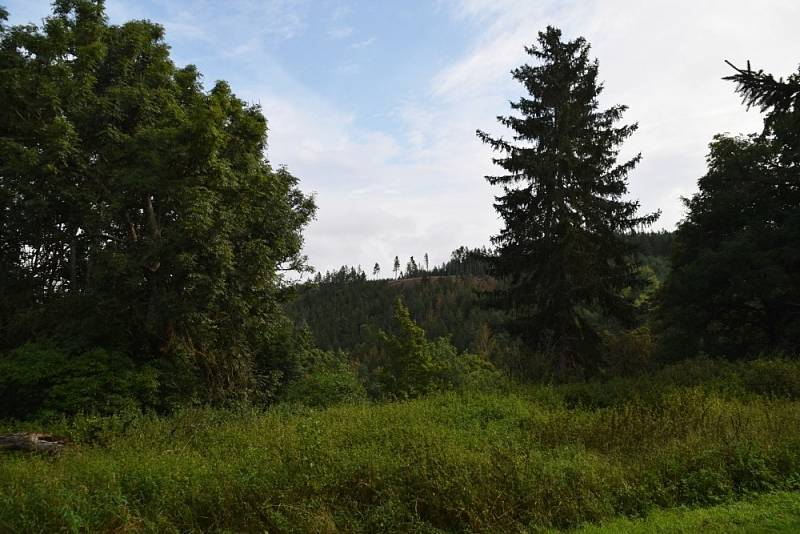Krásný pohled se nabídne obyvatelům a návštěvníkům Mydlovar v pozdní letní ráno, když jsou ochotni si přivstat a pokochat se údolím kolem Úterského potoka.