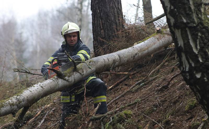 Dobrovolní hasiči odstraňují větrem skácený strom ze silnice u Michalových Hor.