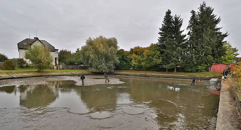 Kohouťák vylovili po deseti letech, ryby chytaly i děti do ruky