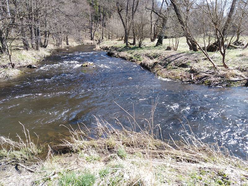 Krajina kolem soutoku Mže a Hamerského potoka