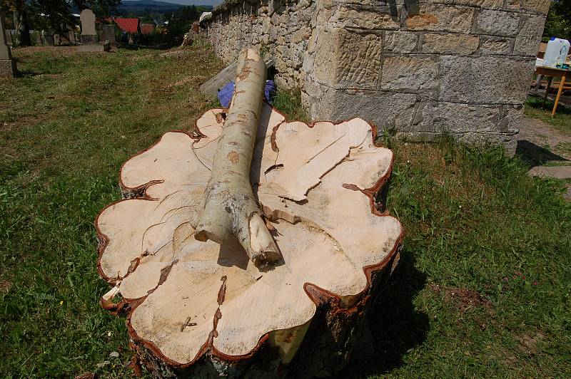 Na staré části hřbitova v Hošťce se sešla česko německá brigáda, aby pomohla k jeho obnově.