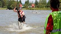 Velká cena Chodové Plané. Triatlon 22. ročník.