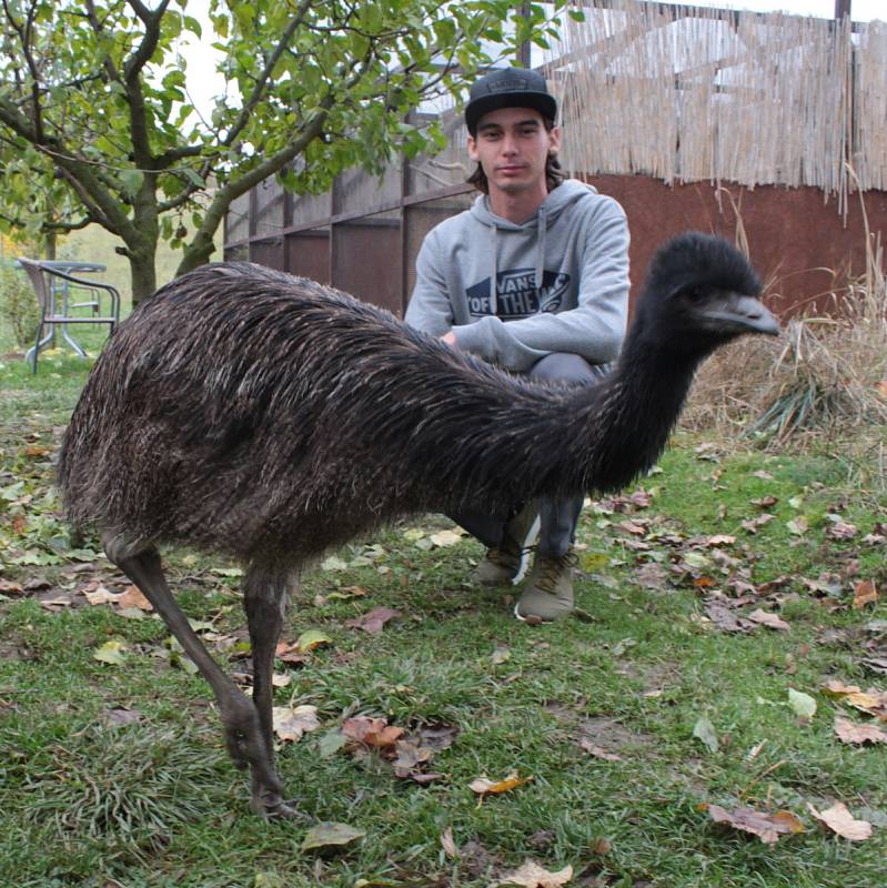 Chovatel úspěšně rozšiřuje malou zoo