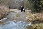 Brod na hranicích okresů Tachov a Plzeň-sever.