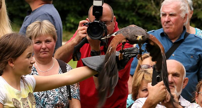 Letní barokní festival ve Svojšíně: květiny, dravci i pohádka.