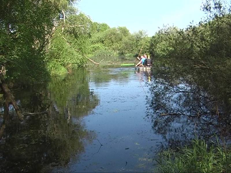 Hledači pátrali po věcech ukrytých na dně rybníka u Chodové Plané