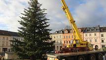 Usazení vánočního stromu na náměstí v Tachově.