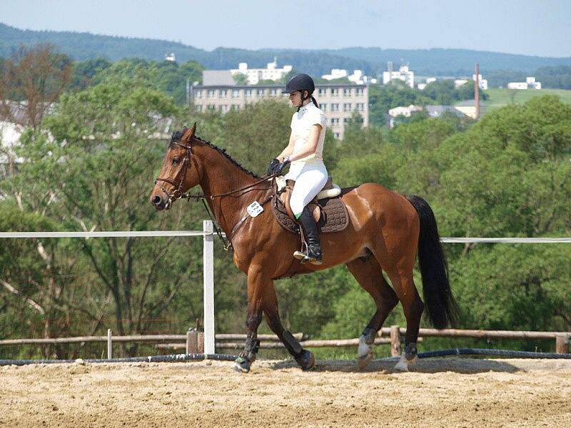 	Dvaatřicátý ročník tradičních jezdeckých závodů se odehrál v areálu Centra sportovních koní v Oldřichově.
