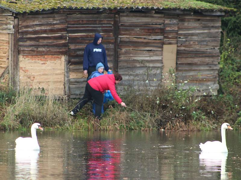 Starousedlíci uklidili břehy rybníka v Chodové Plané