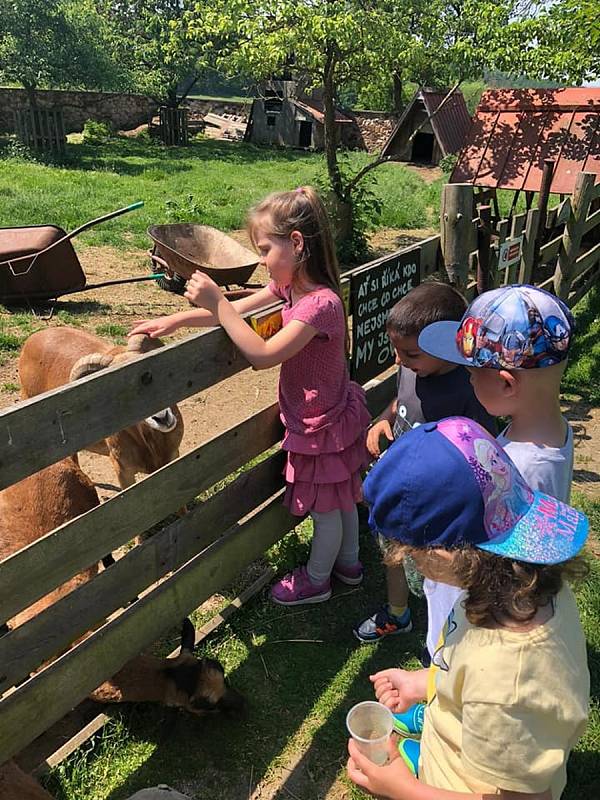 Děti se těšily do Pohádkového statku, krmily zvířata a hrály si