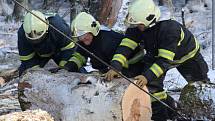 Tachovští hasiči odstranili větrem pokácený strom na silnici mezi Lesnou a Starou Knížecí Hutí.