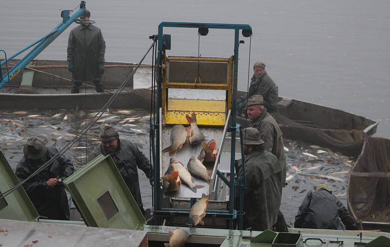 Výlov Regentu u Chodové Plané na Tachovsku