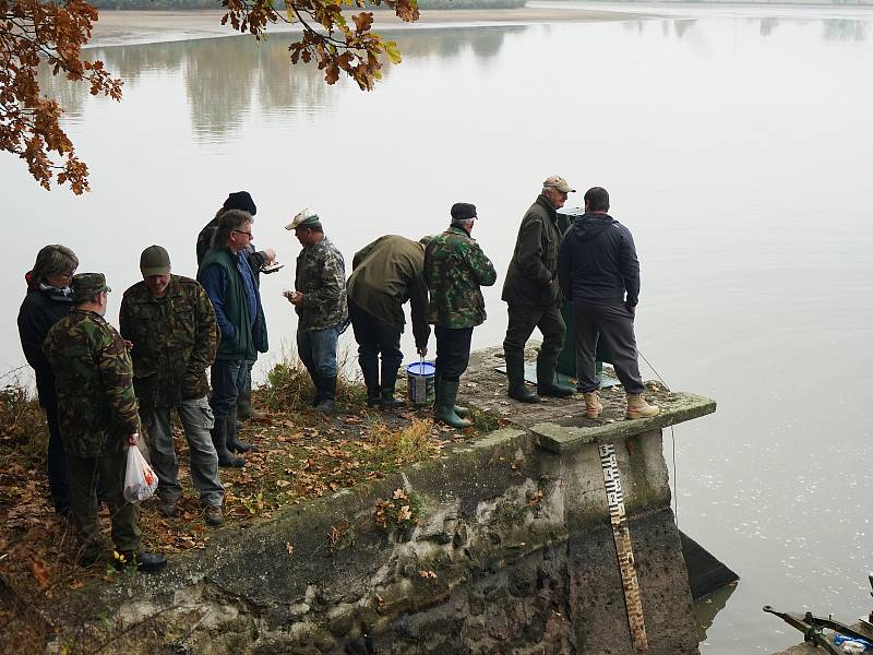 Čtvrtečním ránem oficiálně začal výlov největšího rybníku na území Tachovska, Regentu. Stovky návštěvníků hned v ranních hodinách neodradilo ani typické podzimní počasí.