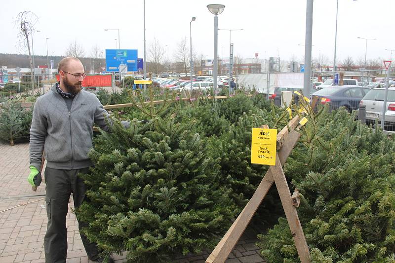 Poslední sobota před vánočními svátky. Adventní a farmářské trhy na plzeňském náměstí a odpoledne v nákupním centru Olympie.