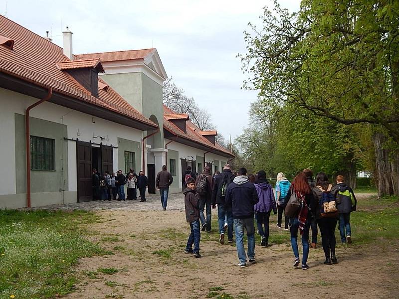 Z Kladrub do Kladrub se vypravil jezdecký klub, navštívil hřebčín