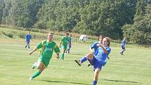 Bor zvítězil v sobotu s ZD Meclov 5:3 po poločasu 3:0.