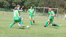 Bor zvítězil v sobotu s ZD Meclov 5:3 po poločasu 3:0.