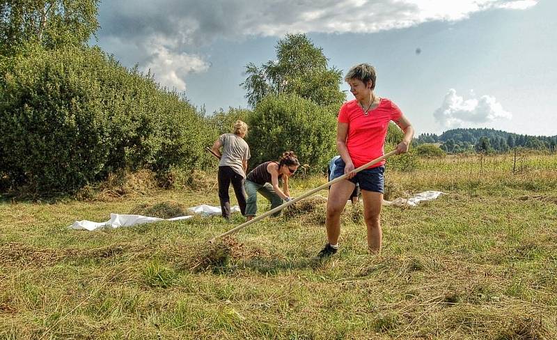 Dobrovolníci z devíti zemí celého světa sekají louky v Českém lese a bydlí v tee-pee