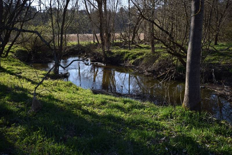 Žlutě značená Naučná stezka Kladruby provede milovníky přírody a historie Kladrub.