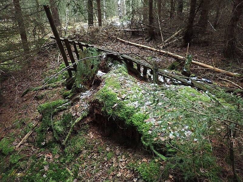 Turistky z Tachova se vydaly na naučnou stezku