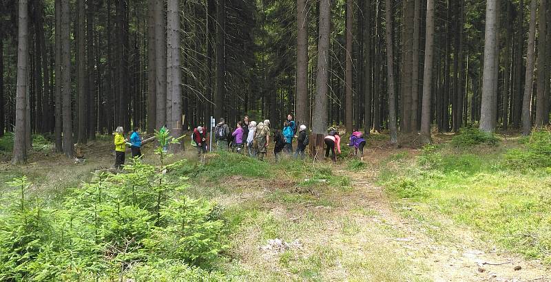 V rámci akcí "Pojďte s námi do přírody" se konala další vycházka, tentokrát zavedla účastníky k opevnění Ippen a na zemskou hranici.