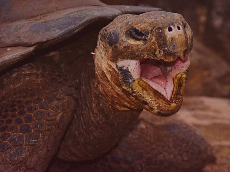 Námořník vyprávěl o plavbách i cestě na Galapágy.