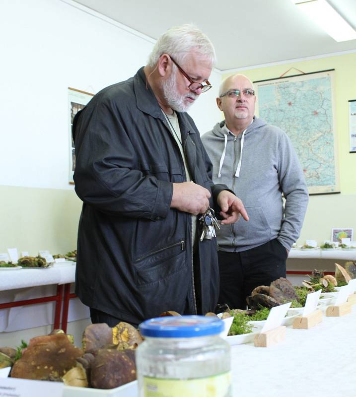 Gymnázium v Tachově opět přivítalo výstavu hub. 