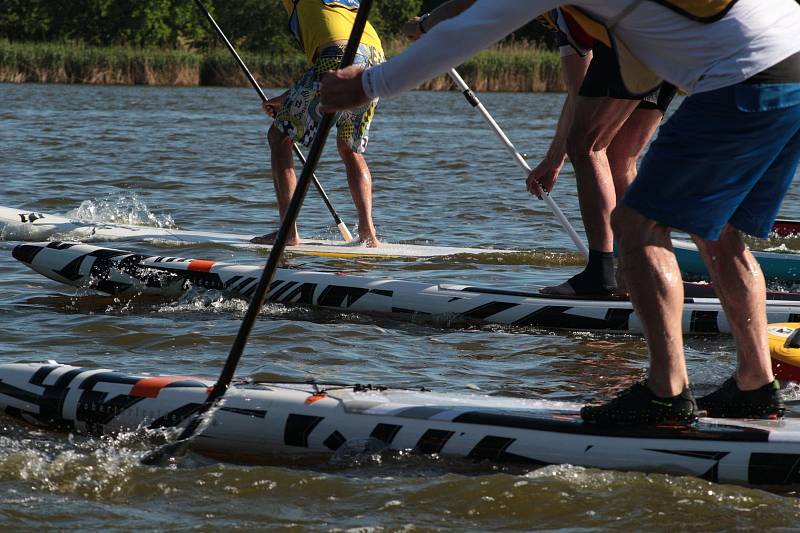 Regent ovládli paddleboardisté