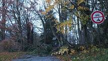 Veliké škody napáchaly poryvy silného větru v zámeckém parku v Chodové Plané.