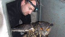 Celkem čtyřikrát se s výrem velkým v rozmezí deseti let setkal ornitolog Karel Makoň ze Záchranné stanice živočichů Plzeň. Třikrát mu zachránil život, po čtvrté se mu to už nepodařilo.
