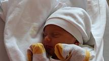 Peter Kvartek (2870 g, 49 cm) se narodil 7. srpna 2021 v 15:21 ve Fakultní nemocnici v Plzni. Rodiče Peter a Veronika z Mariánských Lázní přivítali očekávaného prvorozeného syna společně.